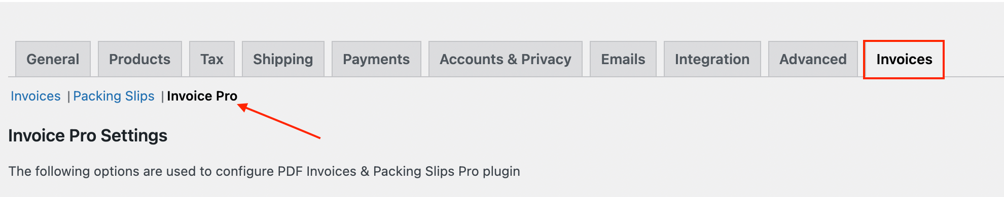 Invoice pro settings tab